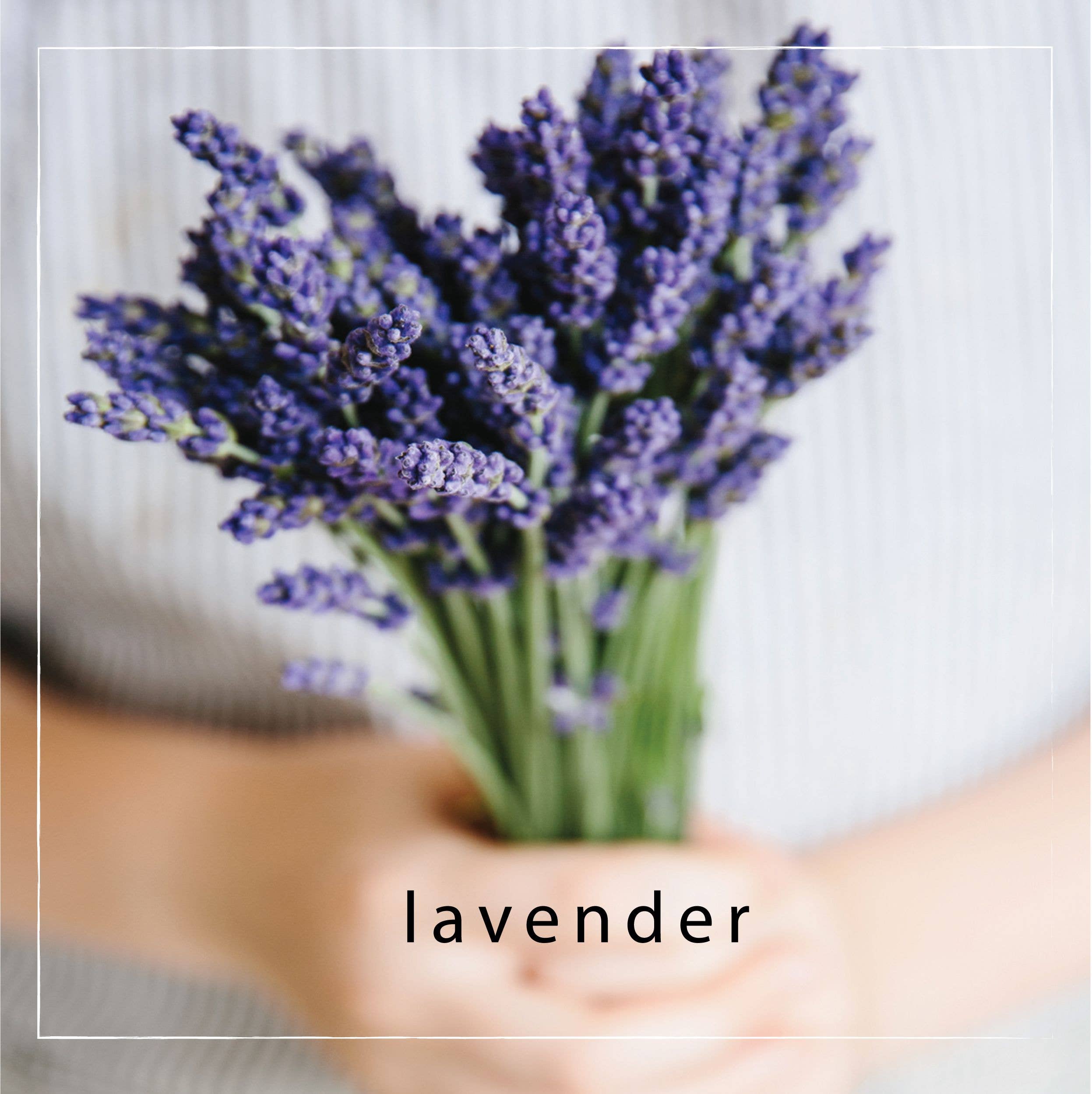 Mangiacotti - Wholesale Hand Sanitizer - Lavender Hand Sanitizer4