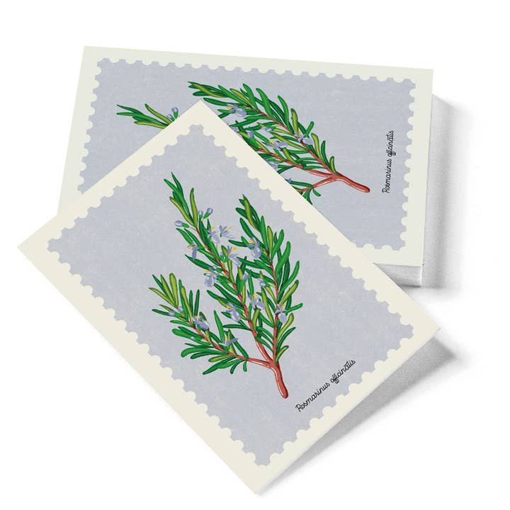 Rosemary postcard for wholesale by Cirnauti