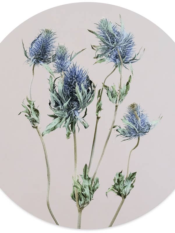 Muurcirkel lala para venta al por mayor de Label2X B.V.