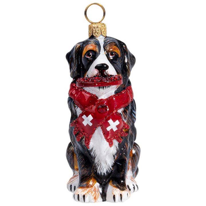 Perro de montaña bernés con disco volador de cristal y bufanda para venta al por mayor de Joy To The World Collectibles
