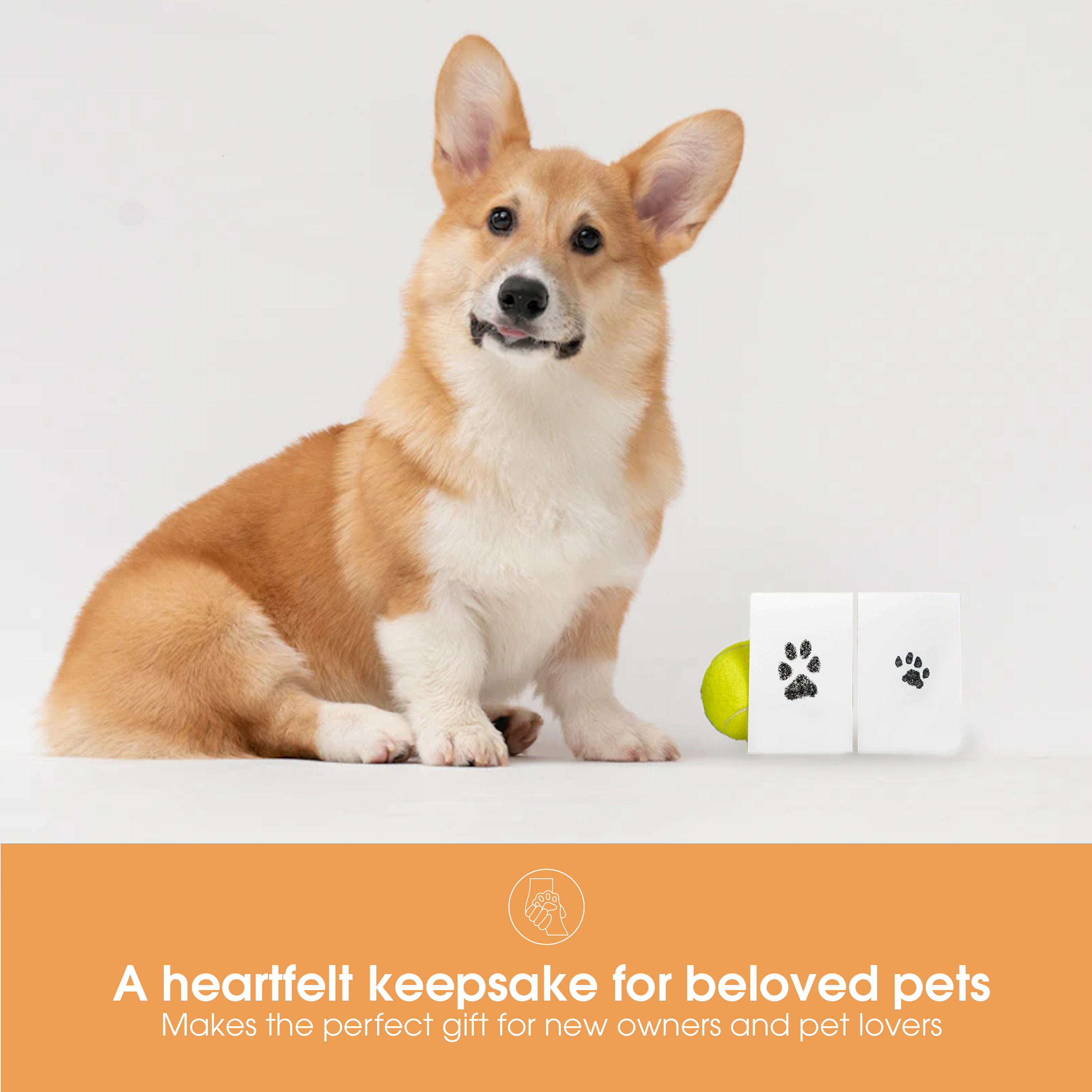 Pearhead - Vente Tampons encreurs - Tampon à encre Clean-Touch Pet Pawprint, noir15