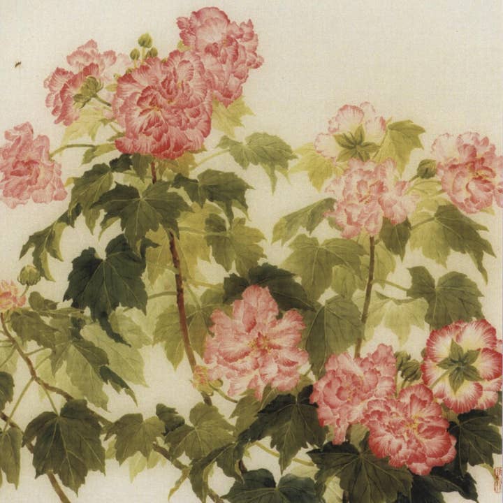 CATCH 12X12 DUBBELE KAARTEN NC 35685 voor wholesale door Phenicia