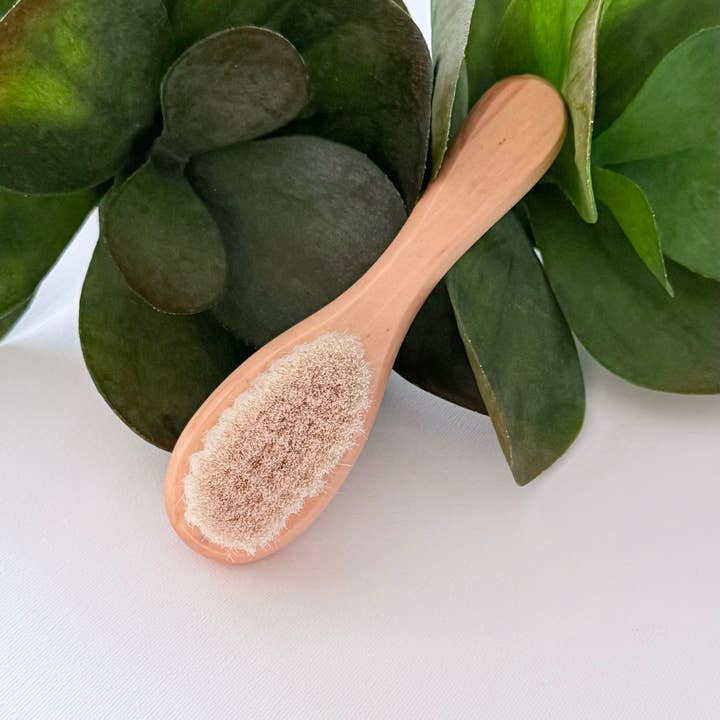 EcoFreax - Wholesale Hair Brush/Comb - Wooden Baby Hair Brush with Natural Goat Bristles 1