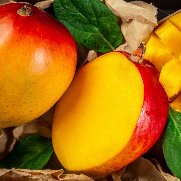 Mango Milk Lip Balm for wholesale by Terra Solyra LLC