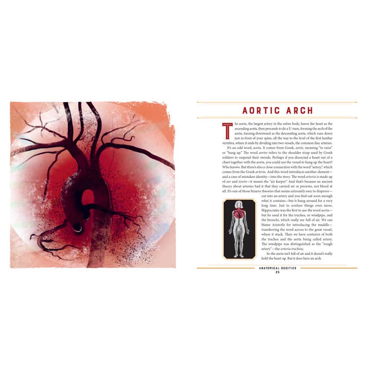 W. W. Norton - Wholesale Science & Math - Anatomical Oddities2