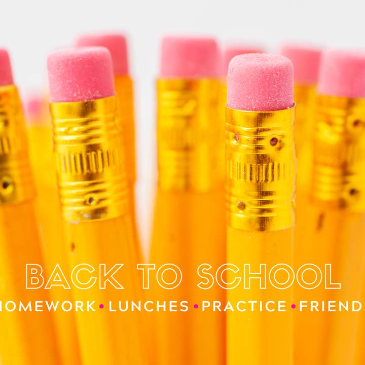 TAYLOR GRAY - Wholesale Decorative Tray - 11x17 ALL YEAR LONG VOL 2 insert set of 129