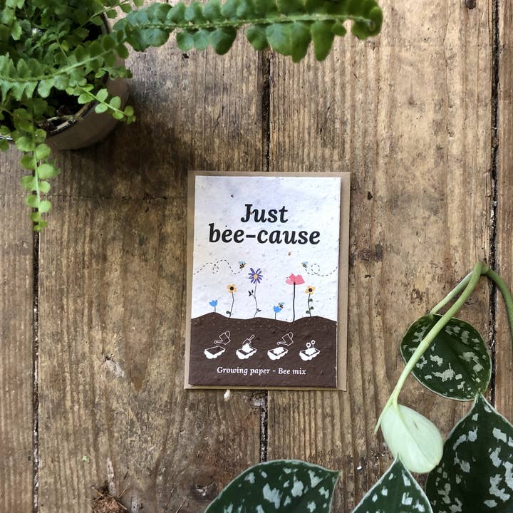 Apenas causa de abelha (papel de crescimento com sementes!) por atacado de Studio by Taco