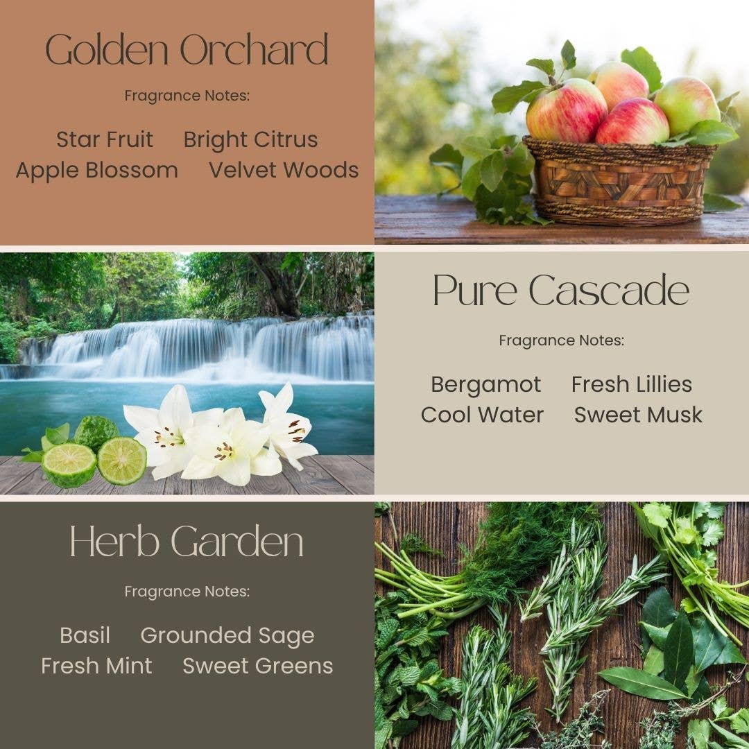 Colonial Merchant - Venta al por mayor Limpiador multiusos - Limpiador de Superficies Aroma~Luxe Colonial Merchant de 8 oz.4