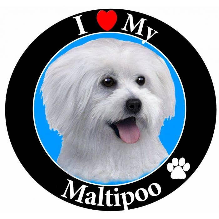 E&S Pets - Vendita all'ingrosso Calamite - Maltipoo - Magnete circolare0