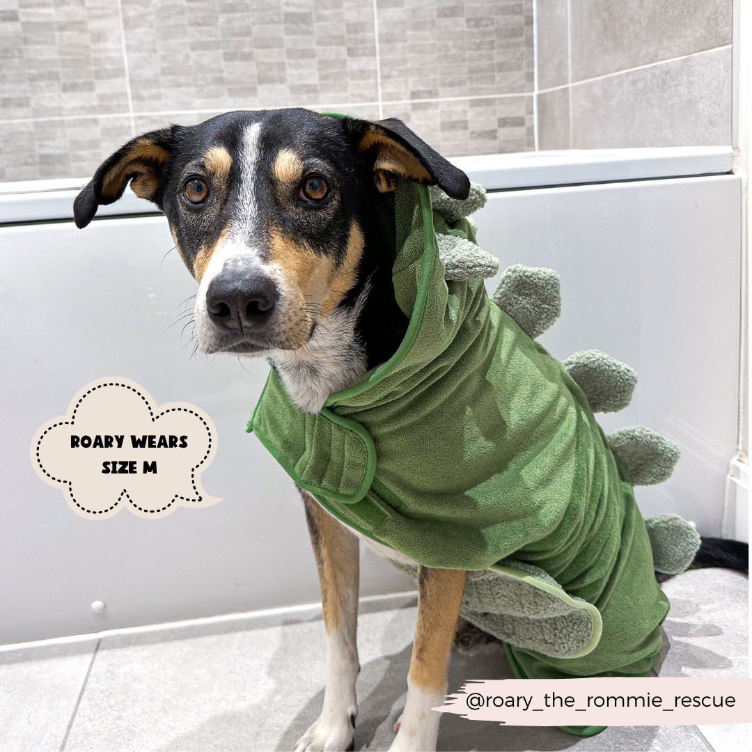 Cocopup London - Wholesale Pet Hoodie - Dog - Dinopup Drying Robe7