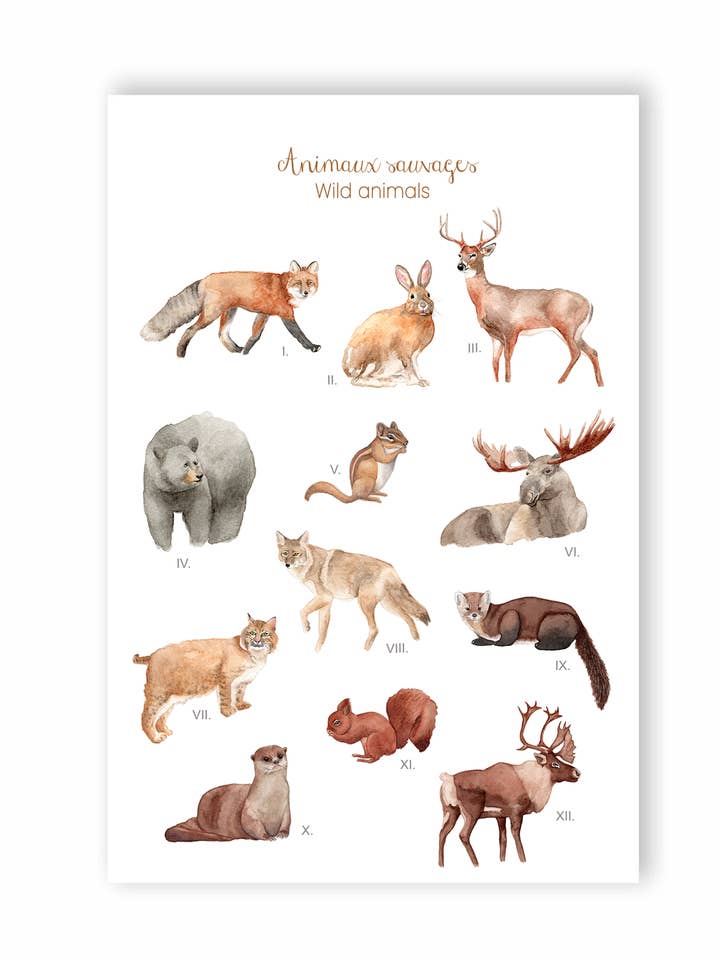 Animali selvatici, cartolina per la vendita all'ingrosso da parte di Hobeika Art