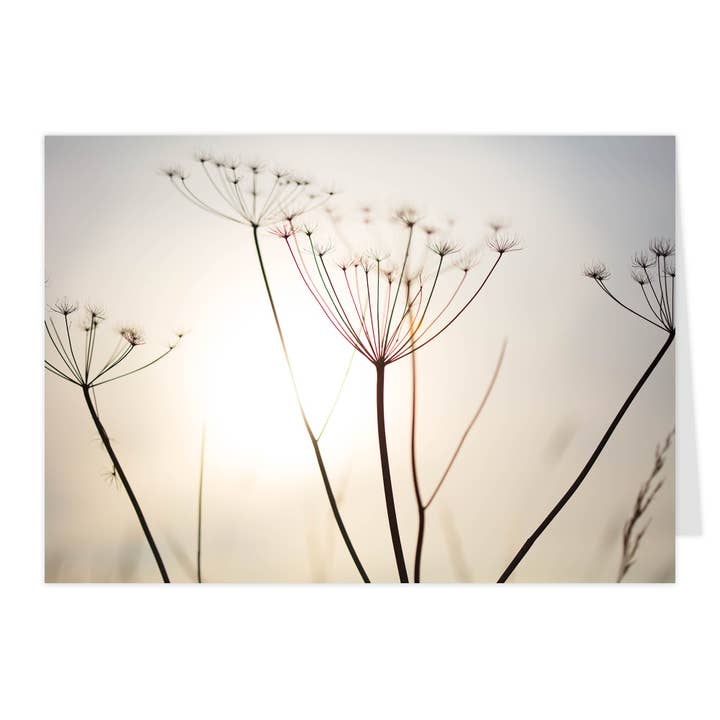 Tarjeta plegable "Umbelas al atardecer" para venta al por mayor de paruspaper. nutzfeine papeterie