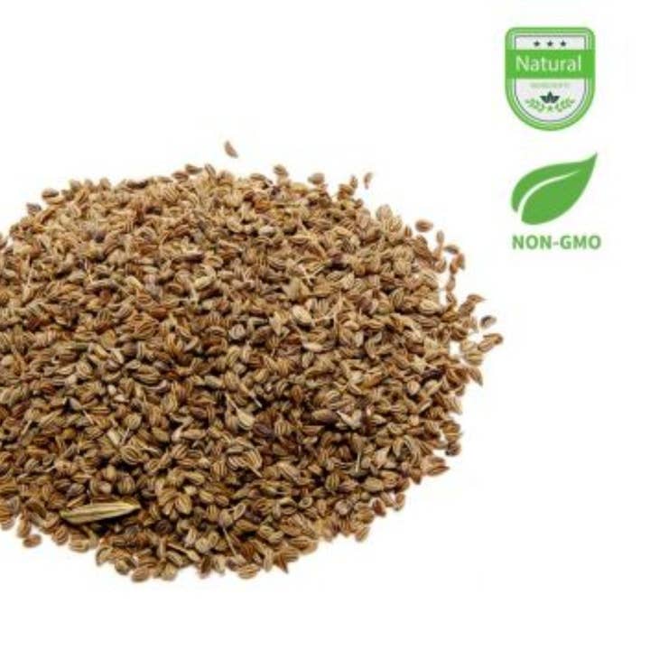 Ajwain Seeds (Carom Seeds or Bishop's Weed) for wholesale by Aiva Products