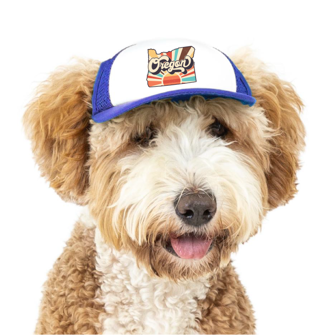 PupLid - Wholesale Pet Hat - Dog - Vintage State | Trucker Hat for Dogs59
