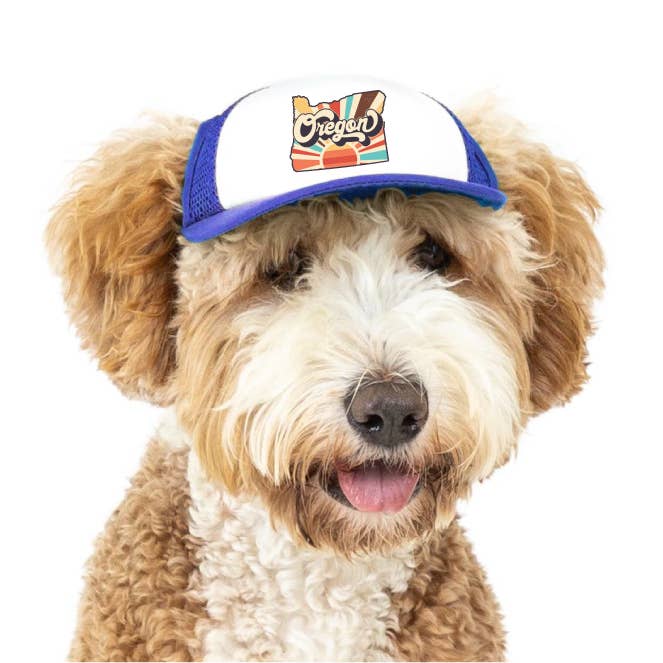 PupLid - Vendita all'ingrosso Cappello - Cani - Vintage State | Cappellino trucker per cani59