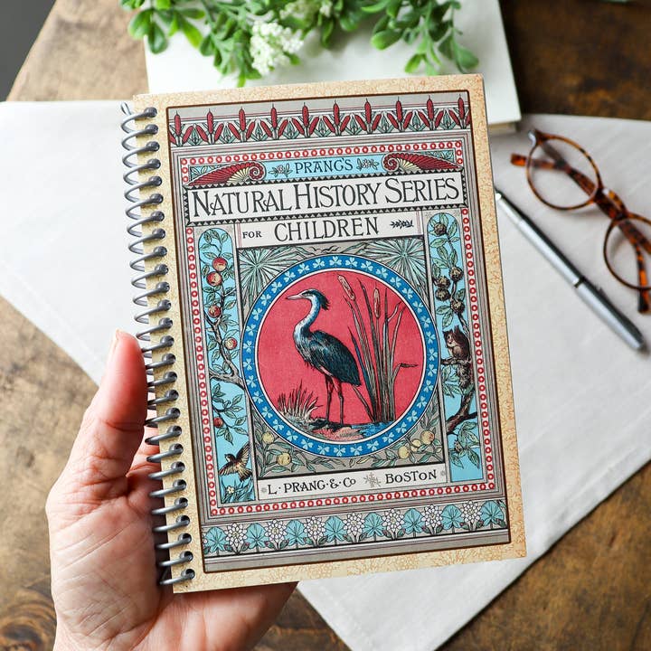 Sunshine and Ravioli - Wholesale Notebook - Spiral Notebook, Vintage Book Cover, Prangs Natural History