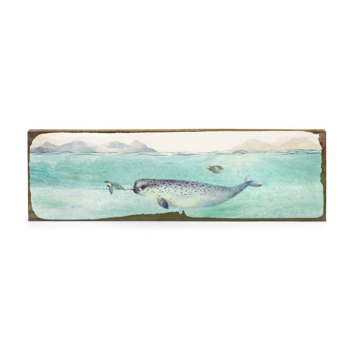 Cedar Mountain Studios - Wholesale Art Print - Narwhal - Timber Wall Art1