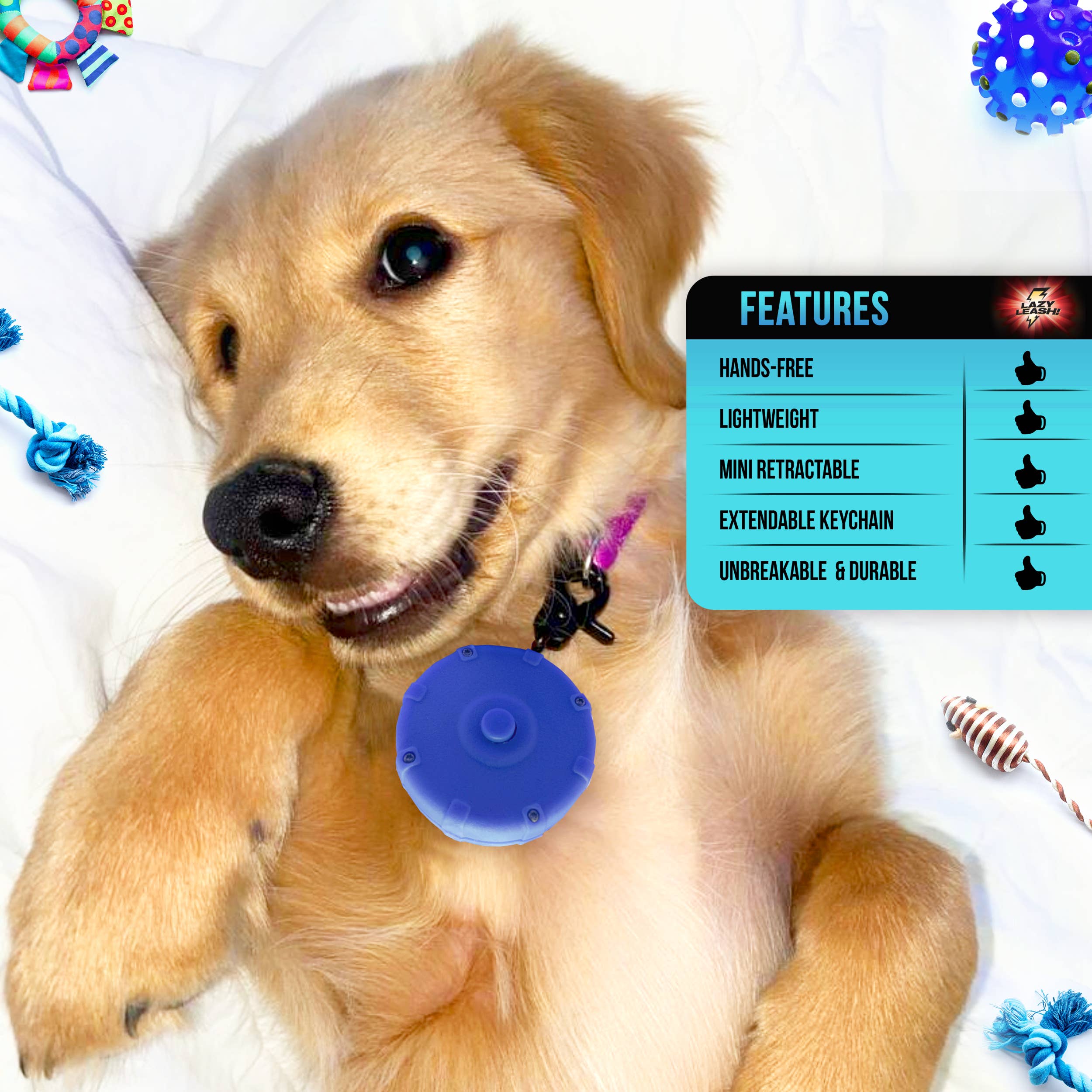 Lazy Leash! – Engroshandel Hundesnor - Hund – DOVEN SNOR! ⚡️ Mini Power Leash! 18pc Counter Skærmkasse10