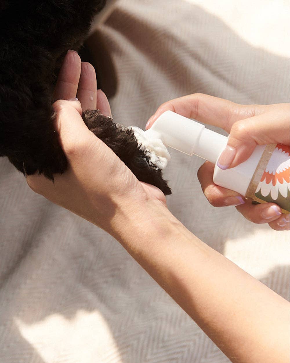 Dandylion - Wholesale Pet Cleaning Supplies - Refill - Clean Paws No-Rinse Foaming Cleanser2