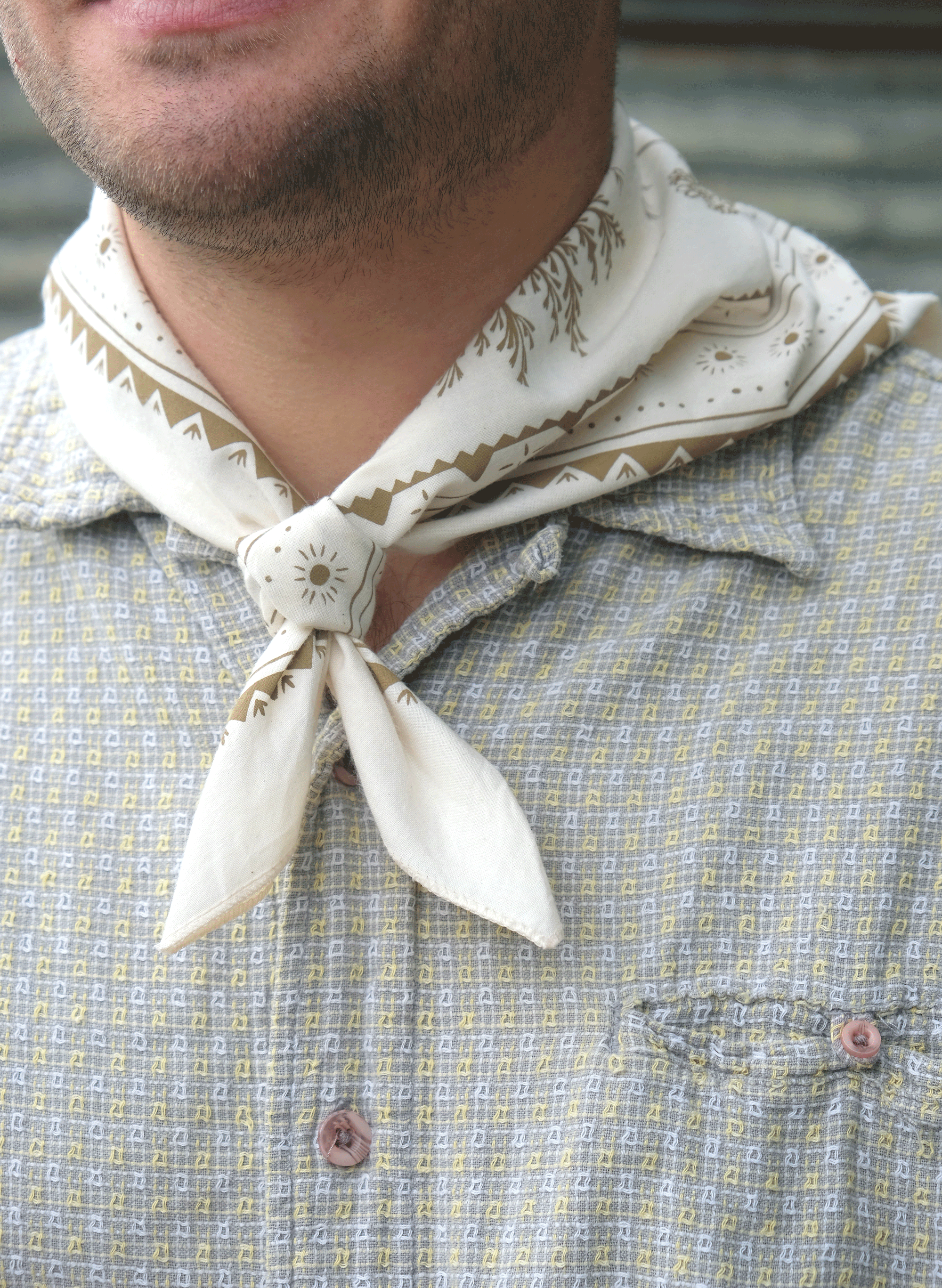 Elana Gabrielle - Vendita all'ingrosso Bandana - Donna - Bandana del Deserto Alto - Regalo Botanico del Sud-Ovest/Occidentale3