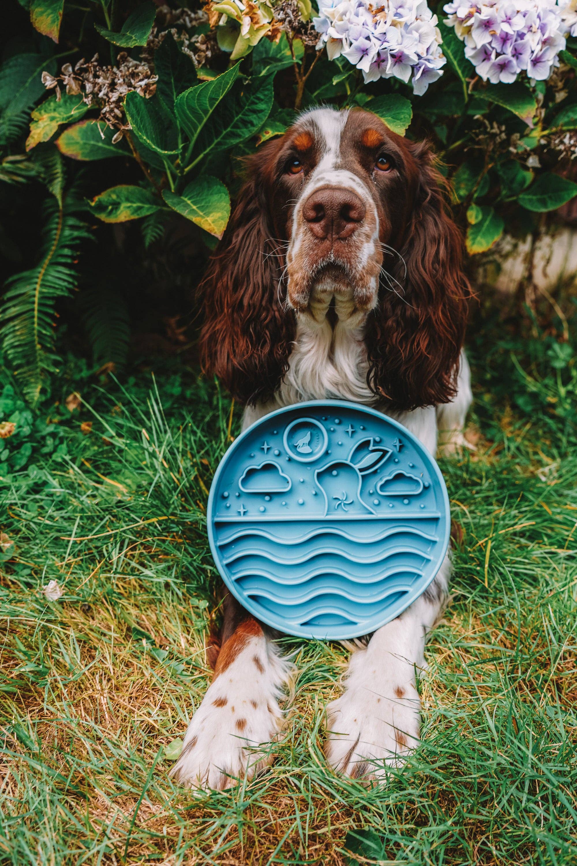 Wild n Fresh Treats - Wholesale Voedermat - Hond - Maanfestival Eetmat3