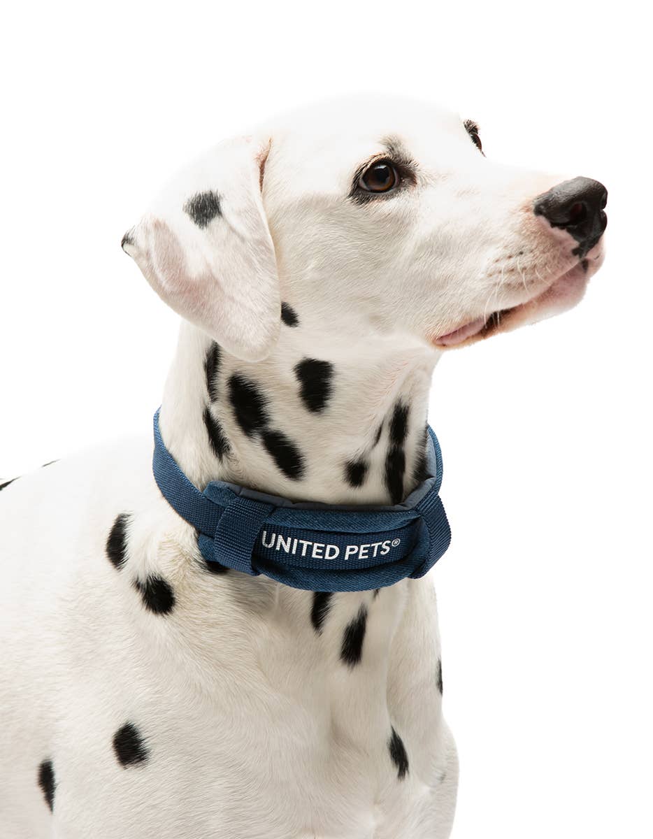 United Pets - Wholesale Pet Leash - Dog - Imbracatura imbottita morbida per cani in jeans14