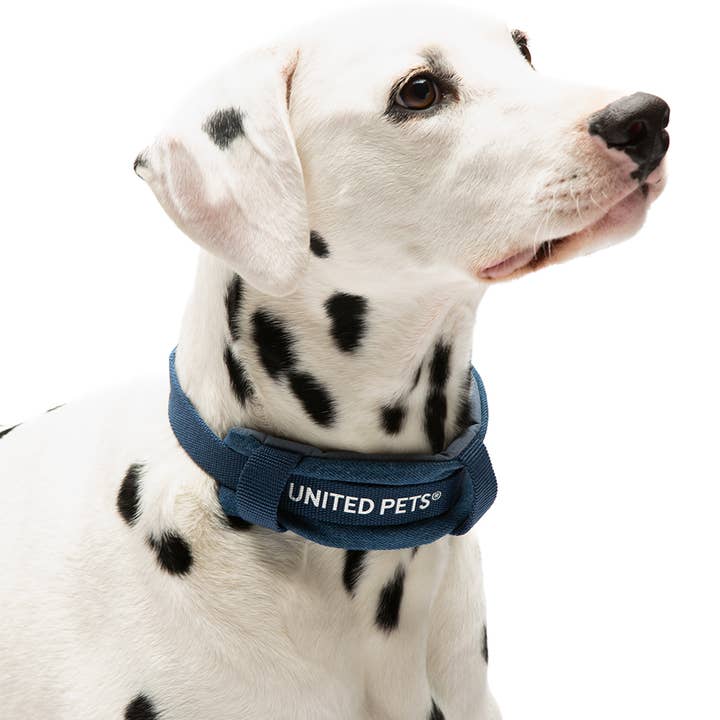 United Pets - Wholesale Pet Leash - Dog - Imbracatura imbottita morbida per cani in jeans14