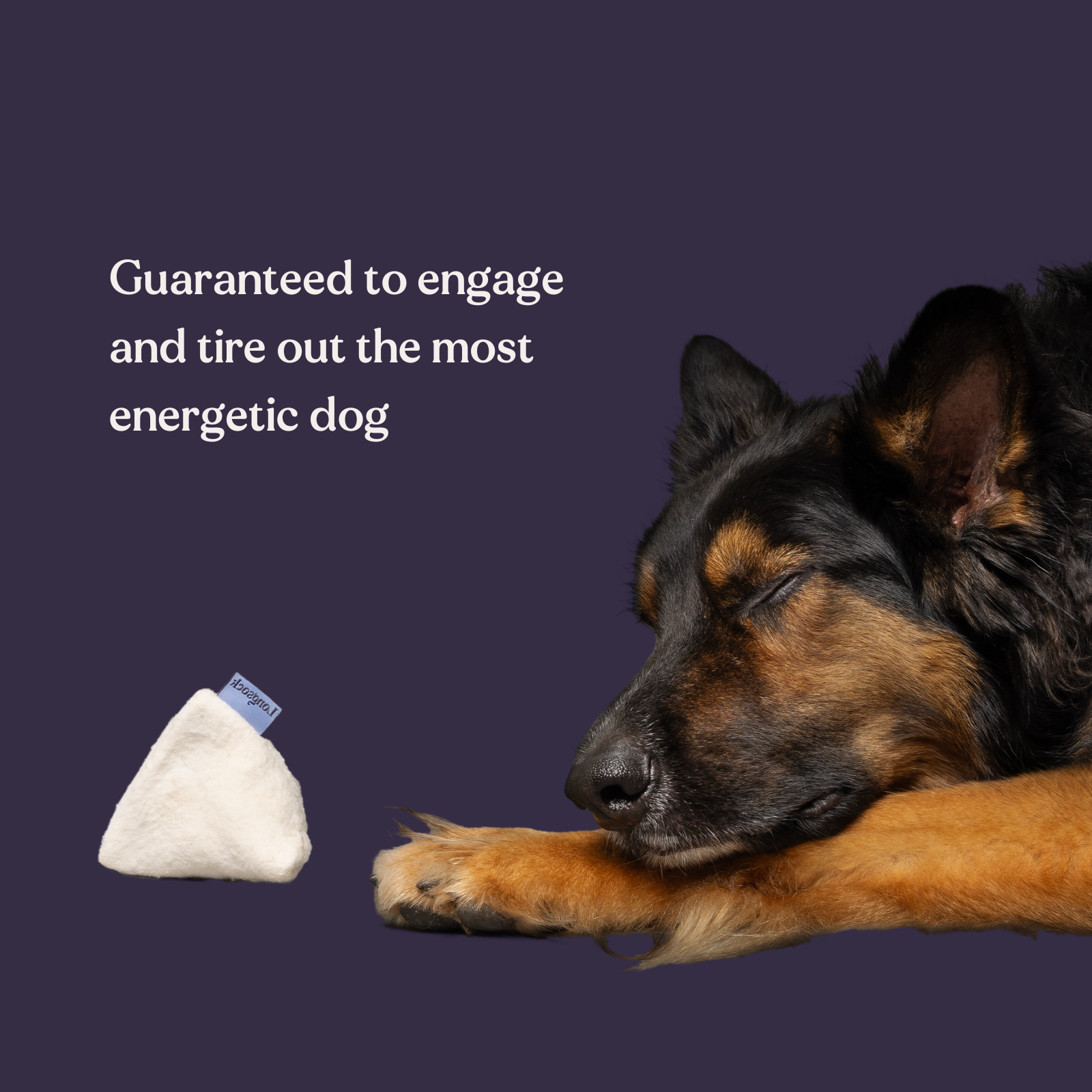 Longsock - Wholesale Pet Toy - Dog - Longsock Scent Training Toy3