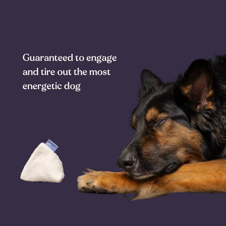 Longsock - Wholesale Pet Toy - Dog - Longsock Scent Training Toy3