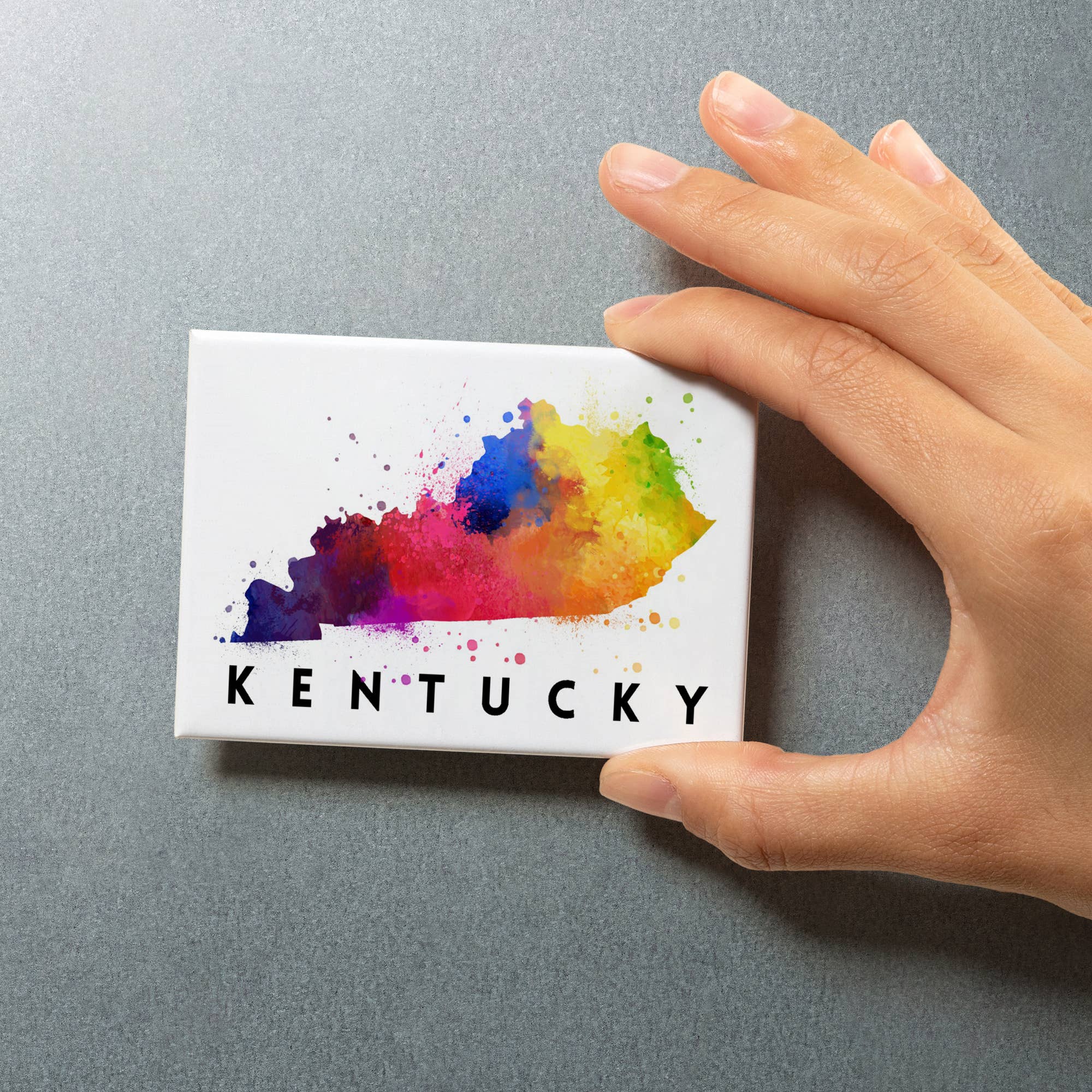 Lantern Press - Vendita all'ingrosso Calamite - MAGNET Kentucky, State Watercolor5