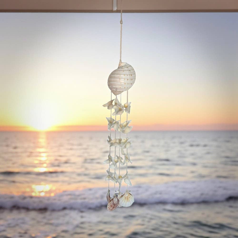 Earths Elements Wholesale - Wholesale Wind Chime - Tonna Tesselata Chime with Seagull0
