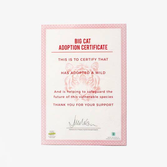 Gift Republic – Presente de novidade por atacado – Adote um gato grande1