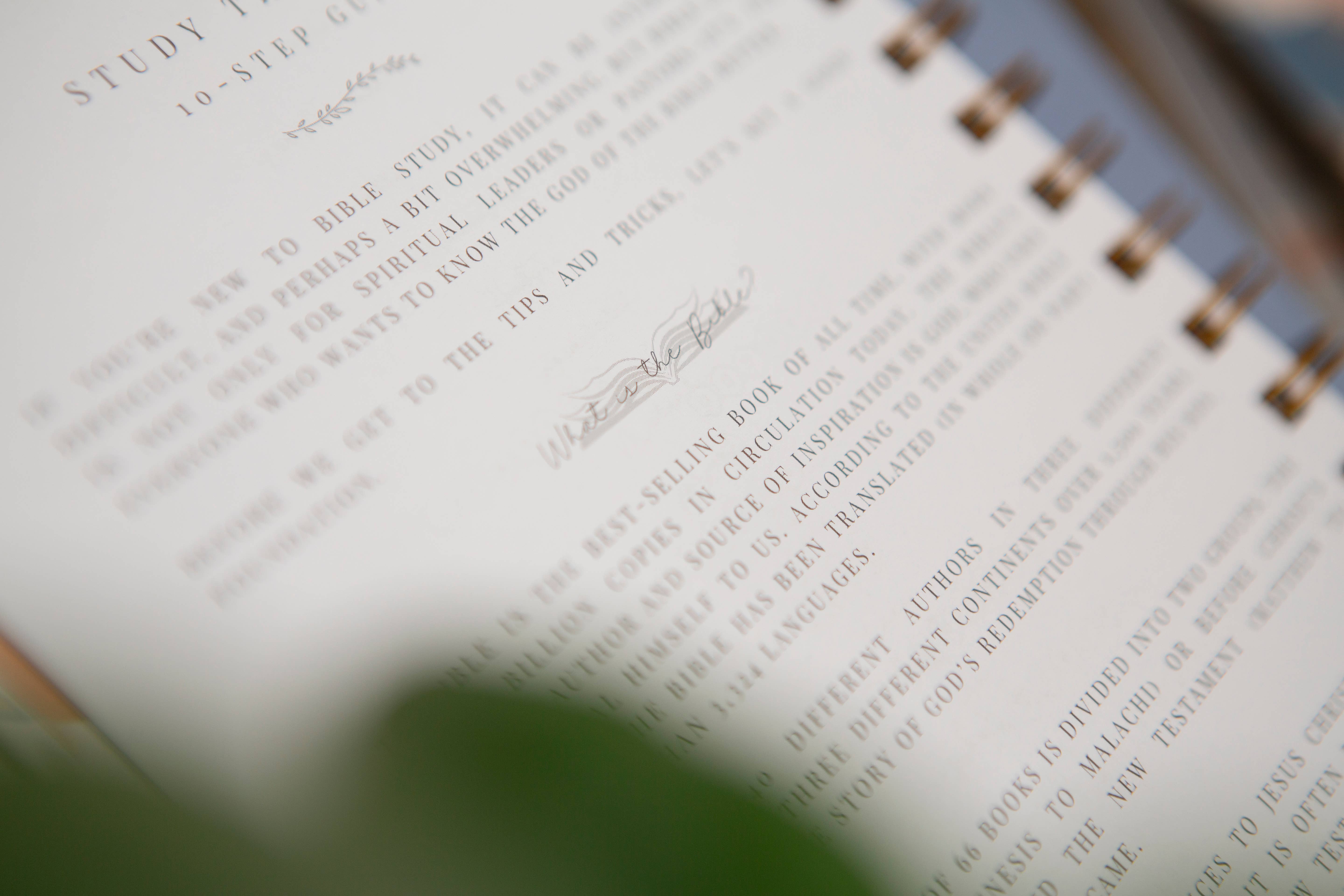 Chosen & Cherished - Wholesale Journal/Diary - Bible Study Journal | Verse Mapping Journal5