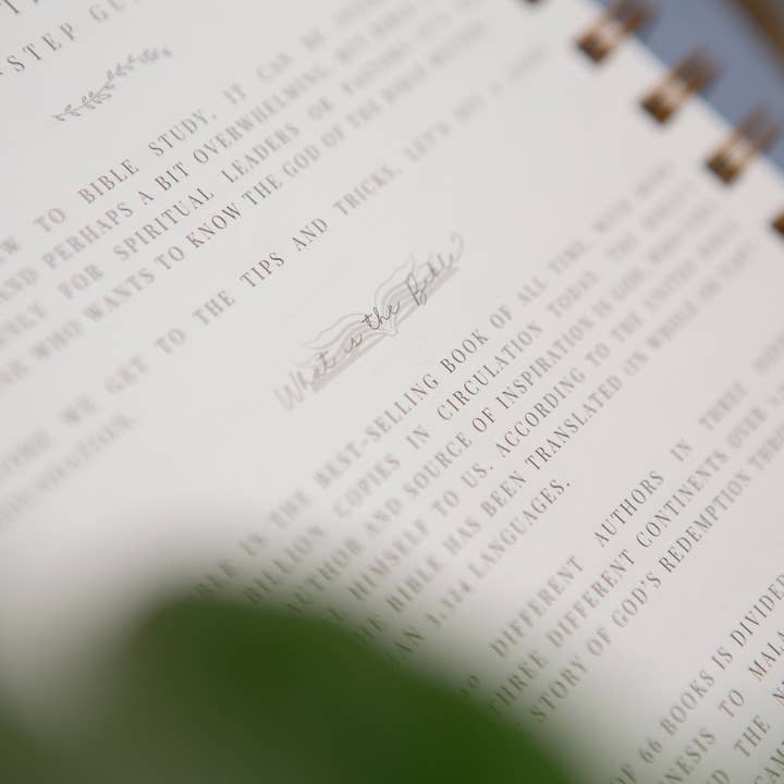 Chosen & Cherished - Wholesale Journal/Diary - Bible Study Journal | Verse Mapping Journal5