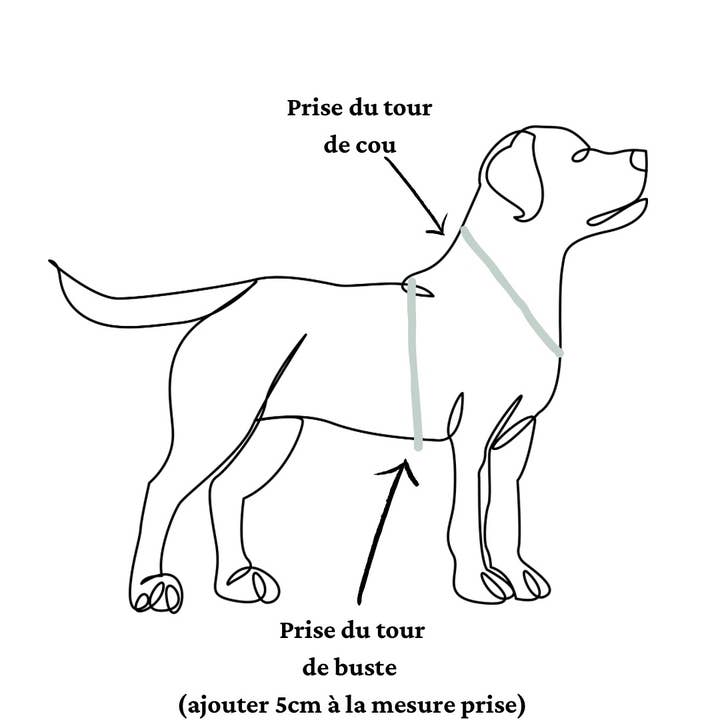 Splash By Happy - Wholesale Pet Harness - Dog - Mettez les harnais à clipser The Site