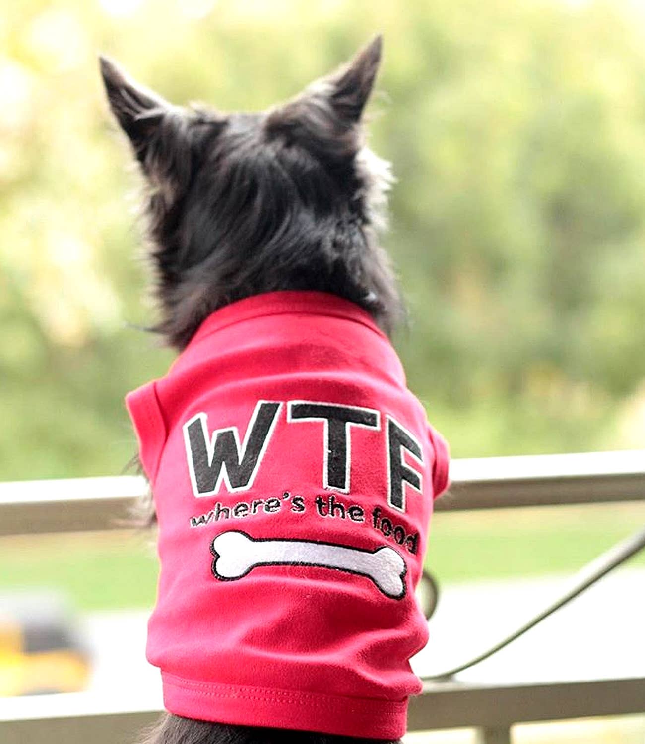 Parisian Pet® - Vente Chemise – chien - T-shirt Chien WTF – Tee-shirt Amusant & Tendance pour Animaux6