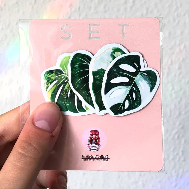Magnet set 2 - Alocasia Variegata, Monstera Adansonii Variegata, Monstera Aurea, Philodendron for wholesale by plantyintroverts