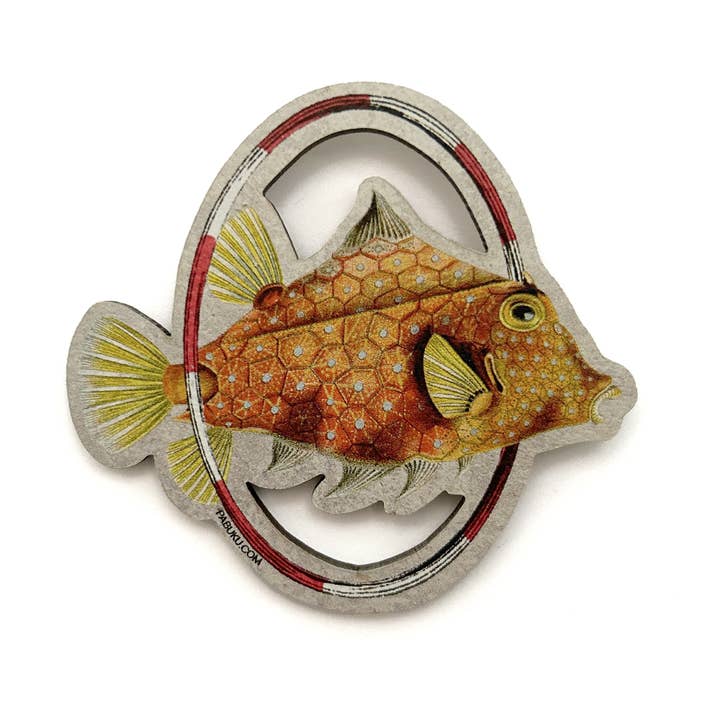 Pabuku - Vente Aimants - Hulafish | Aimant décoratif