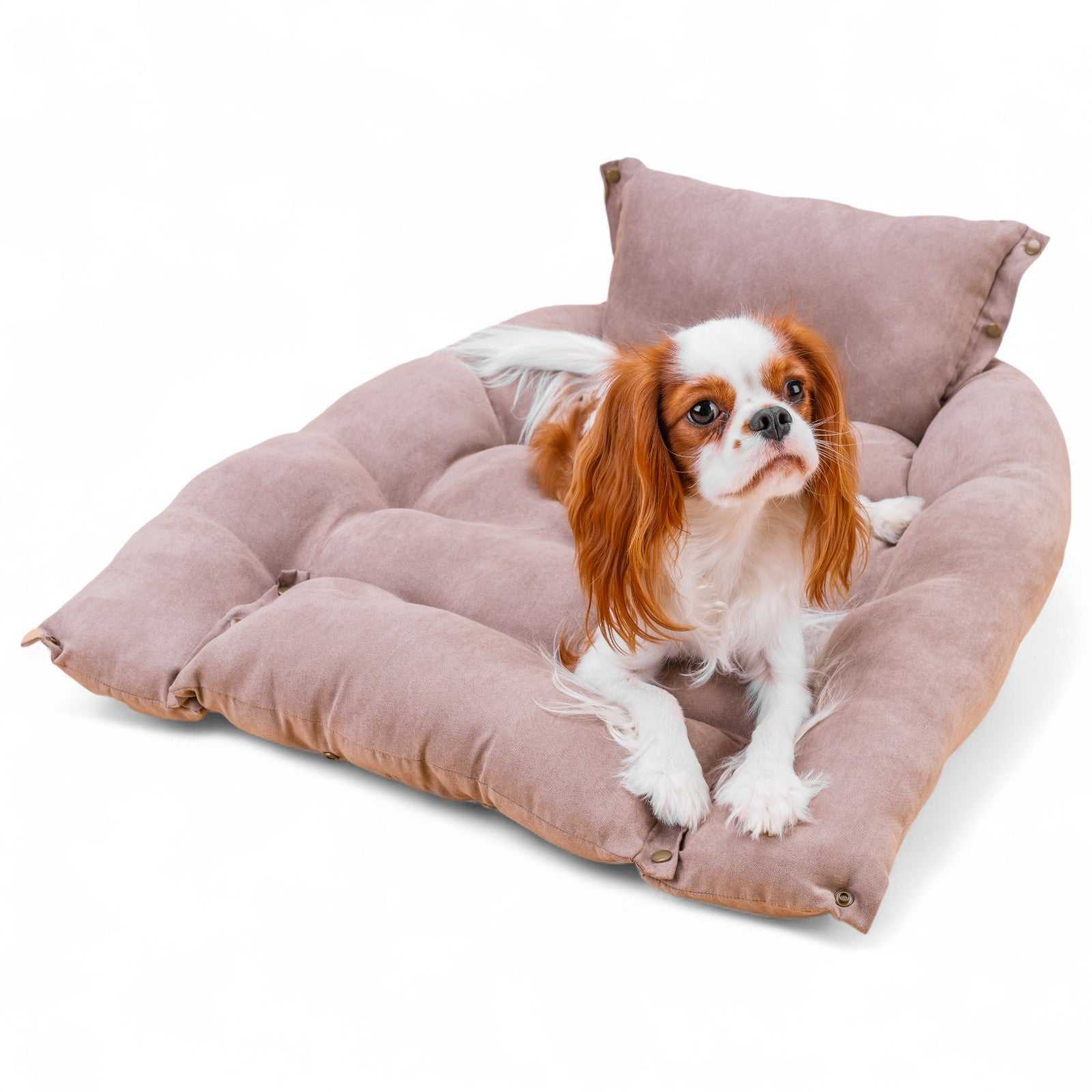 BennyBurton (Walk-Buddy Hundezubehör) - Wholesale Pet Bed - Dog - Light mat with pillow with three different lying options6