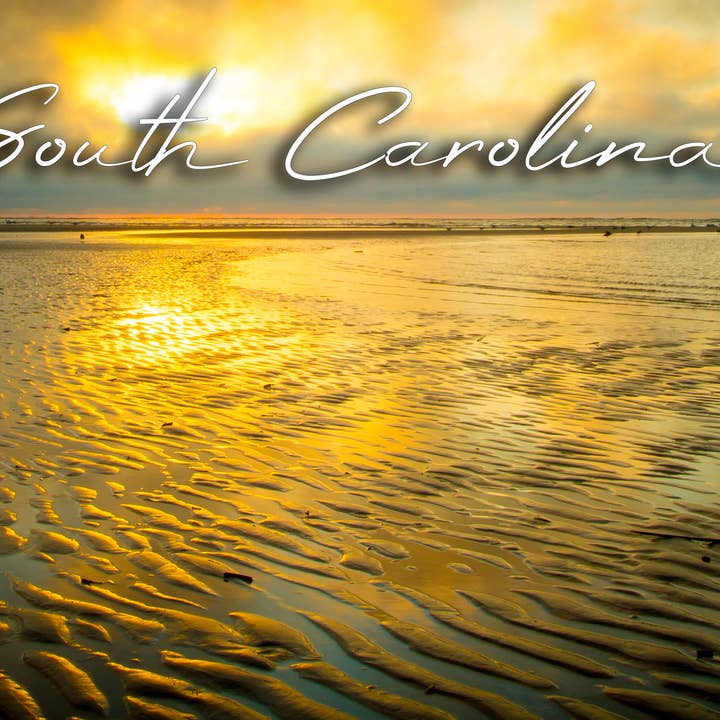 South Carolina Solopgang 2"x3" Fotomagnet for engroshandel hos Turnmeyers