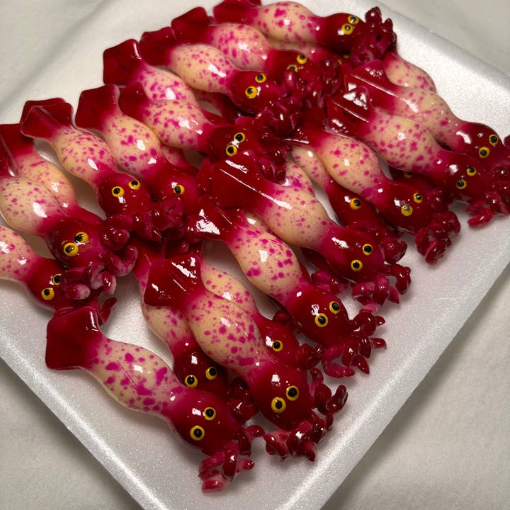 Magnets Market - Venta al por mayor Imanes - Imán de calamar1