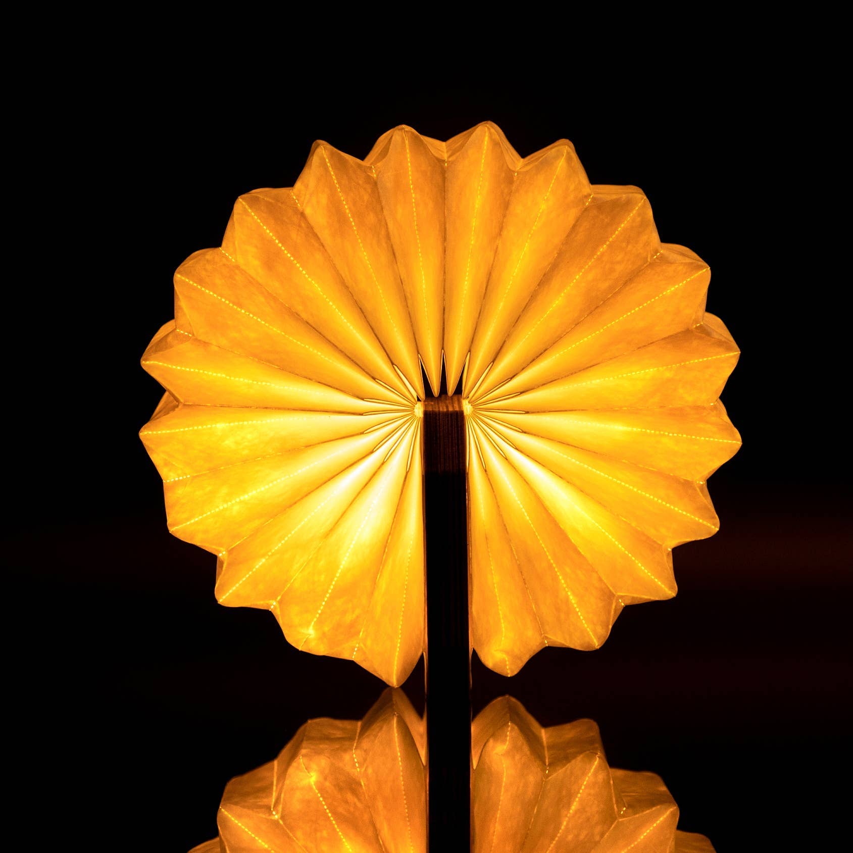 Gingko Design EU - Wholesale Accent/Desk Lamp - Smart Accordion Lamp17