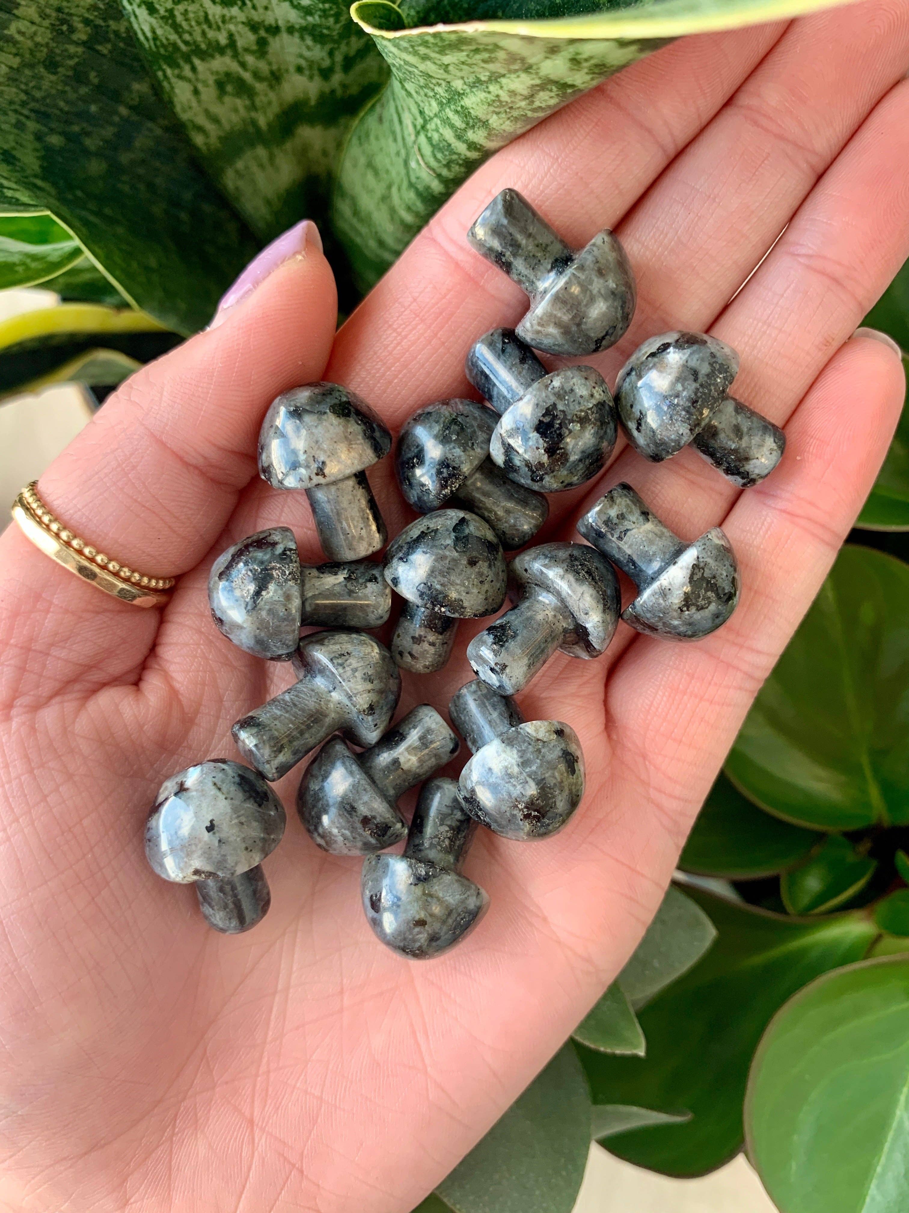 Crystal Vibes Inc. - Vendita all'ingrosso Pietra/cristallo spirituale - Mini intagli a forma di fungo9