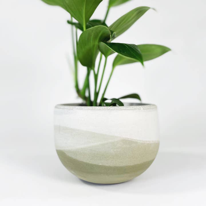 Settlewell - Wholesale Plant Pot - 6" Concrete Bowl Planter / 16 Colors11