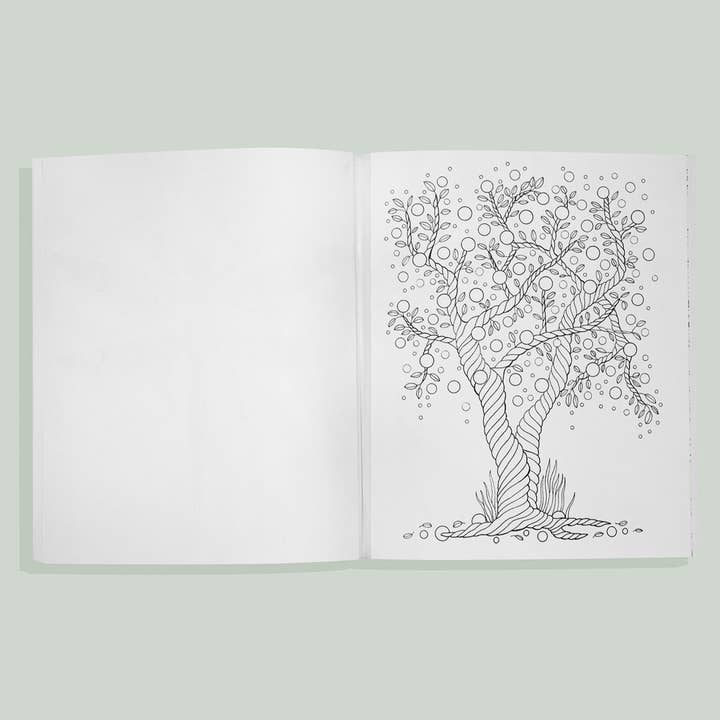 Blue Star Press - Wholesale Coloring & Activity Book - Adult - Soul of the Woodland: A Stress Relieving Adult Coloring Book3
