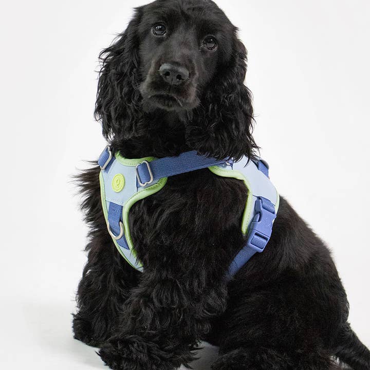 Qisu - Wholesale Pet Harness - Dog - Hug Harness - Premium9