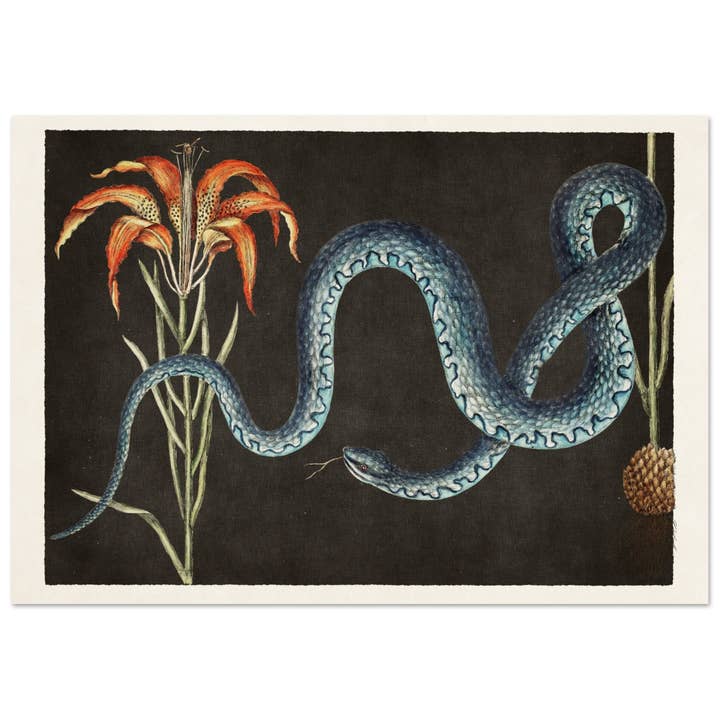 Wampum orm för wholesale av Maison de Paloma