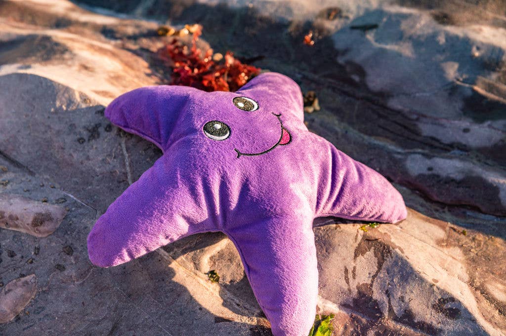 Sustainapaws – wholesale Pet plush toy – Dog – Starfish Double Layered Recycled Plastic Plush Dog Toy4