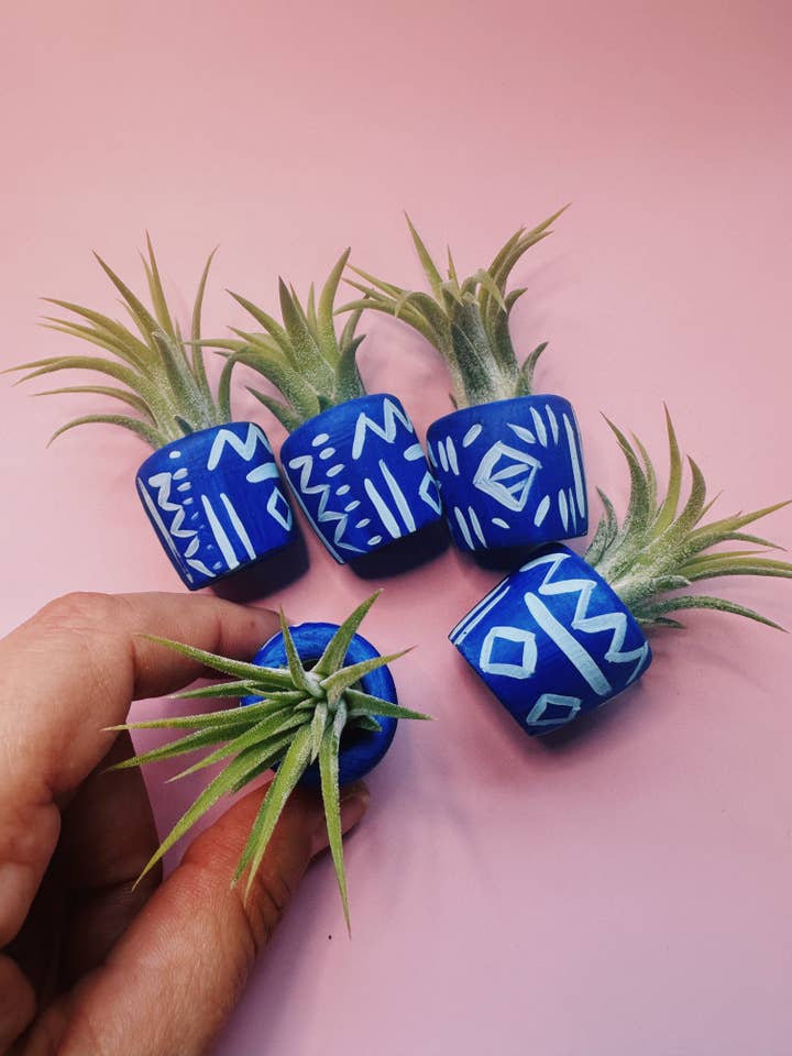 Azul Mini Planter for wholesale by O'Berry's Succulents