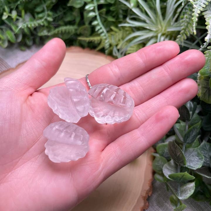 Copper Ashes - Wholesale Spiritual Stone/Crystal - Crystal Clam6